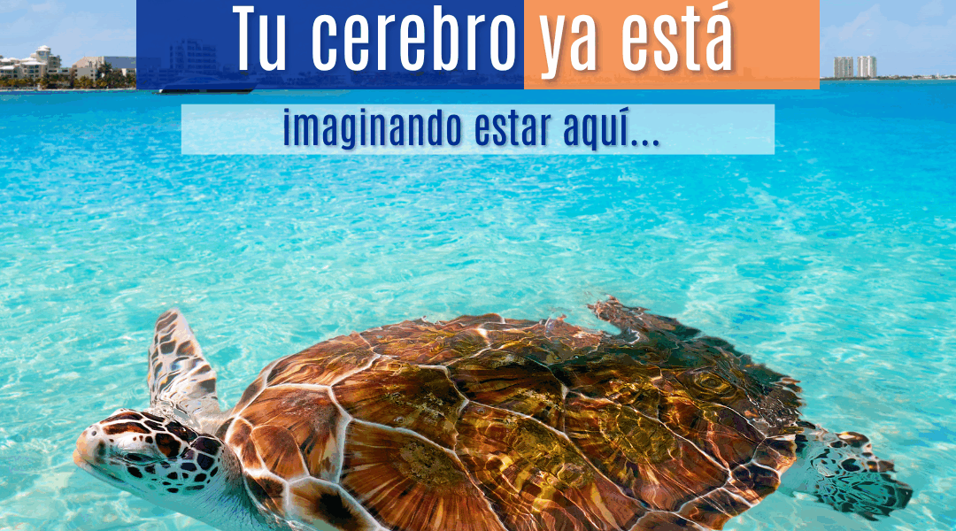 Cancún en tu mente: 5 playas que disparan tu dopamina y te hacen soñar despierto (una es secreta)