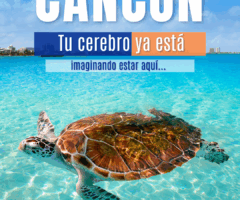 Cancún en tu mente: 5 playas que disparan tu dopamina y te hacen soñar despierto (una es secreta)