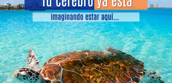 Cancún en tu mente: 5 playas que disparan tu dopamina y te hacen soñar despierto (una es secreta)