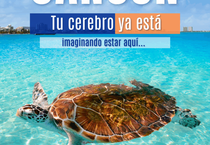 Cancún en tu mente: 5 playas que disparan tu dopamina y te hacen soñar despierto (una es secreta)