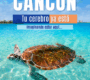 Cancún en tu mente: 5 playas que disparan tu dopamina y te hacen soñar despierto (una es secreta)
