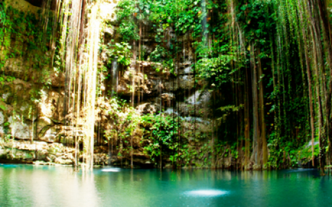 Tulum &  Cenote Casa Tortuga
