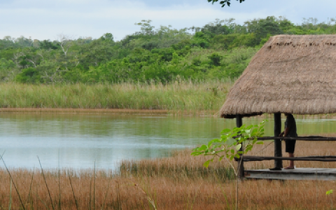 Tulum, Coba, Cenote & Playa del Carmen