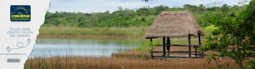 Tulum, Coba, Cenote & Playa del Carmen